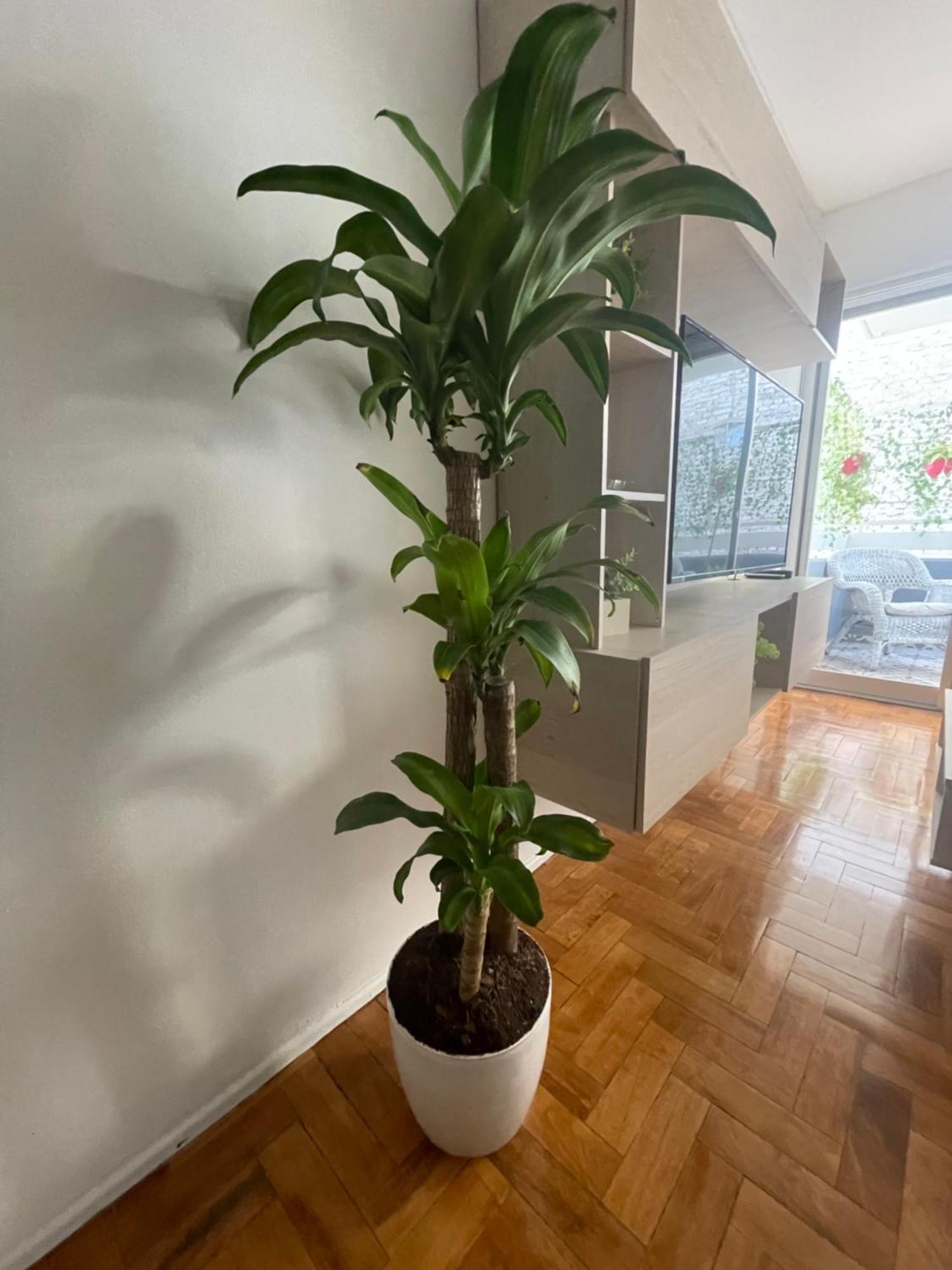 Apartmán Departamento En Peatonal Mendoza Exteriér fotografie